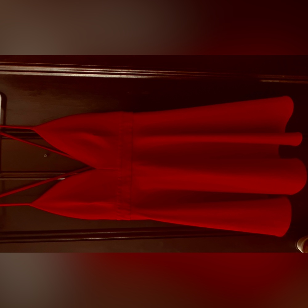 Zara Vibrant Red Garment